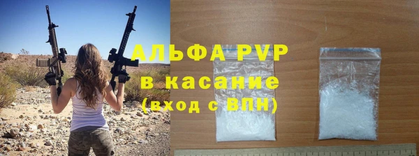 индика Саяногорск