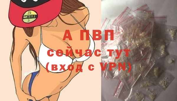 дживик Алексин