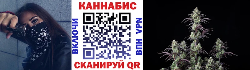 Конопля планчик  Дудинка 